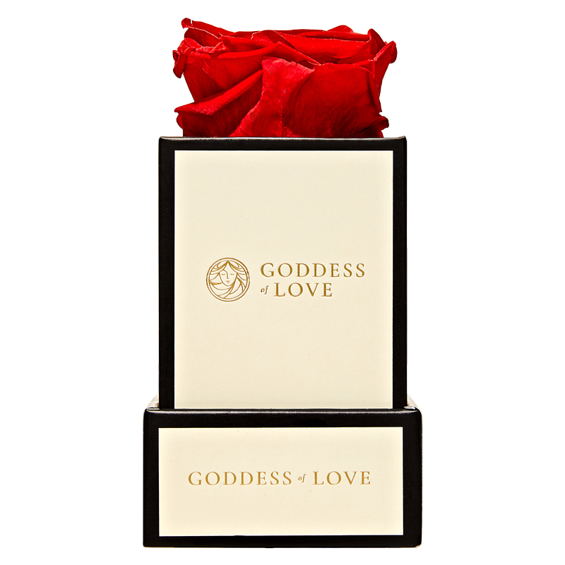 Goddess of Love Preserved Rose 1ct