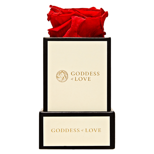 Goddess of Love Preserved Rose 1ct