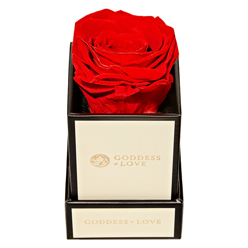 Goddess of Love Preserved Rose 1ct