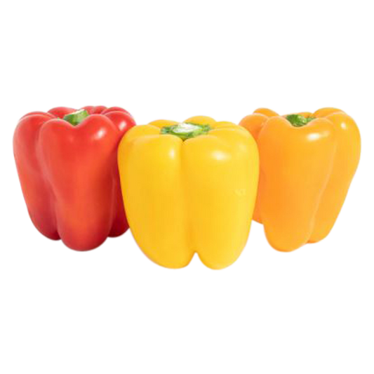 Tri-colored Bell Pepper Pack -  3ct