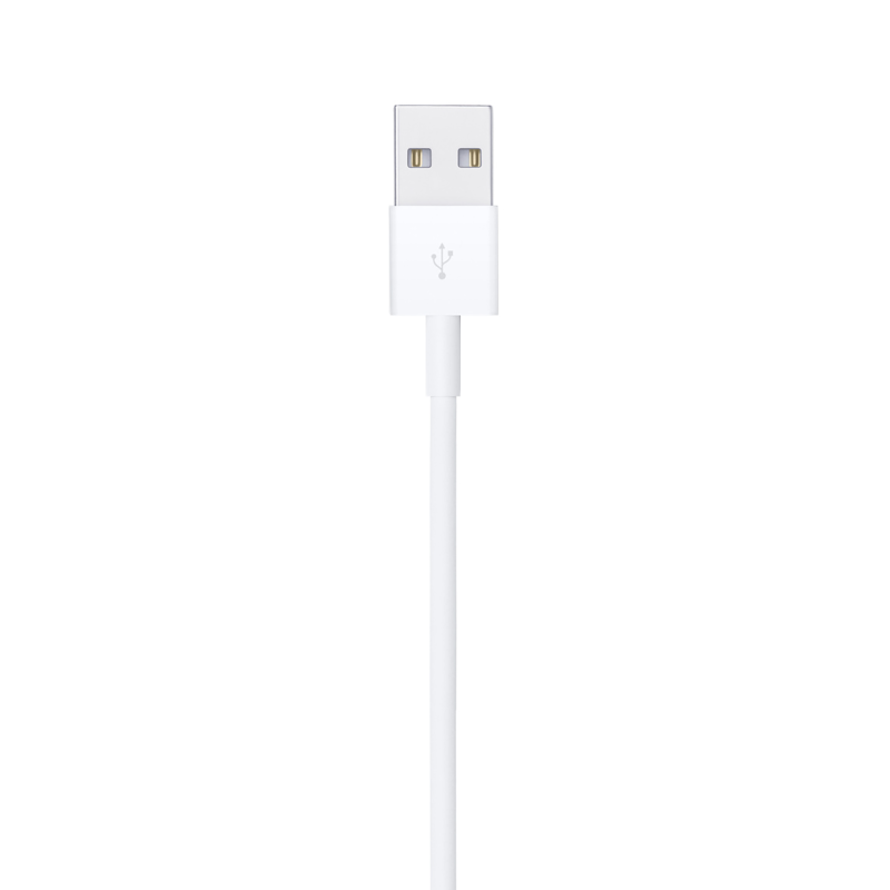 Apple Lightning to USB Cable (1 m)