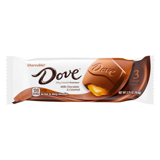 Dove Promises Milk Chocolate Caramel King Size Candy Bar 2.75oz