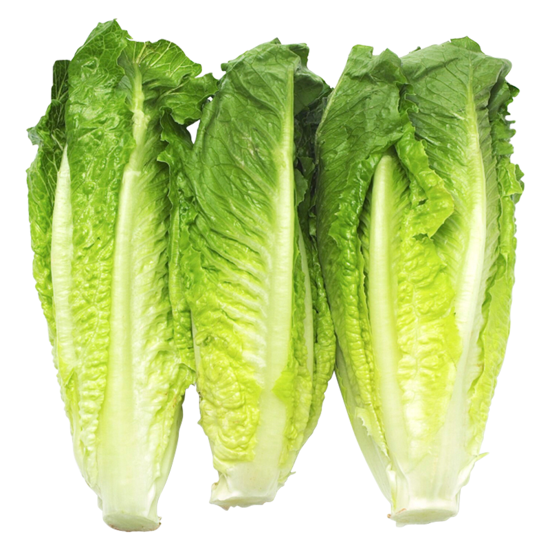 Romaine Lettuce Hearts - 3ct