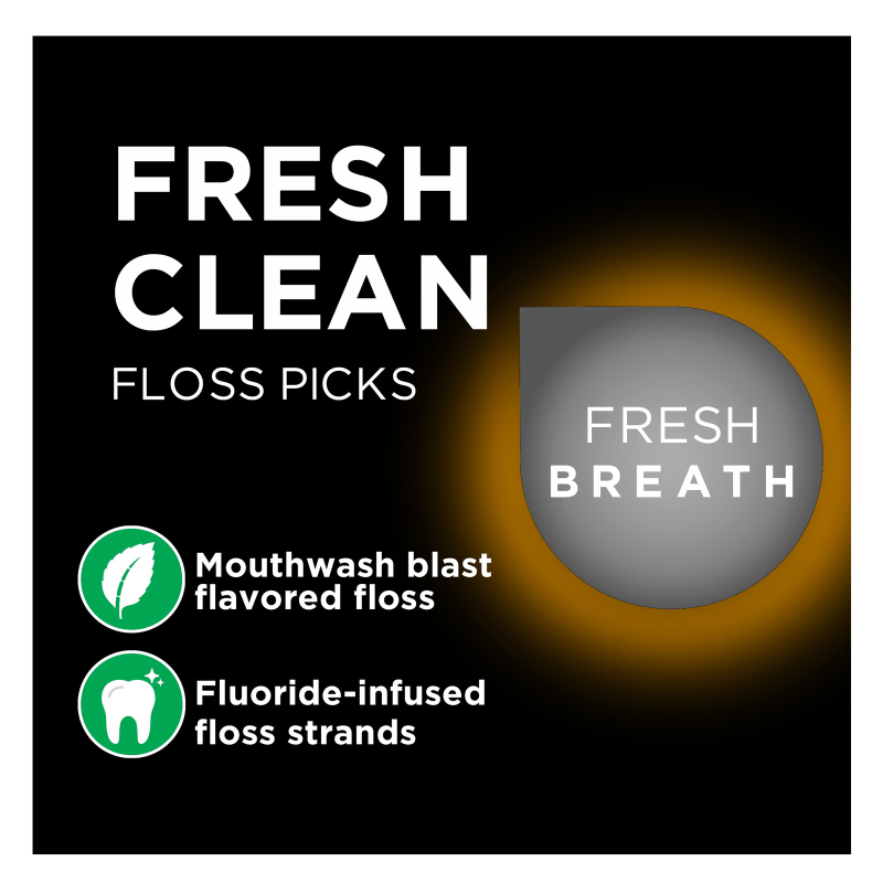 DenTek Fresh Clean Floss Picks 75ct