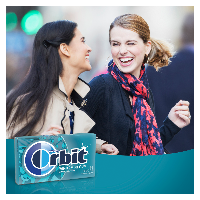 Orbit Wintermint Gum 14ct