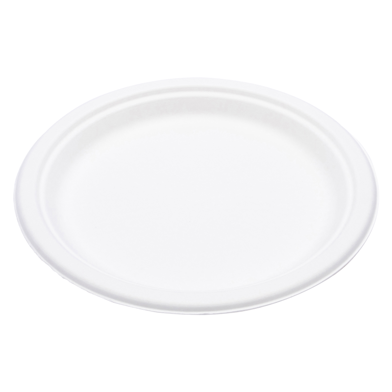 Repurpose Compostable 9" Everyday Plates 20ct