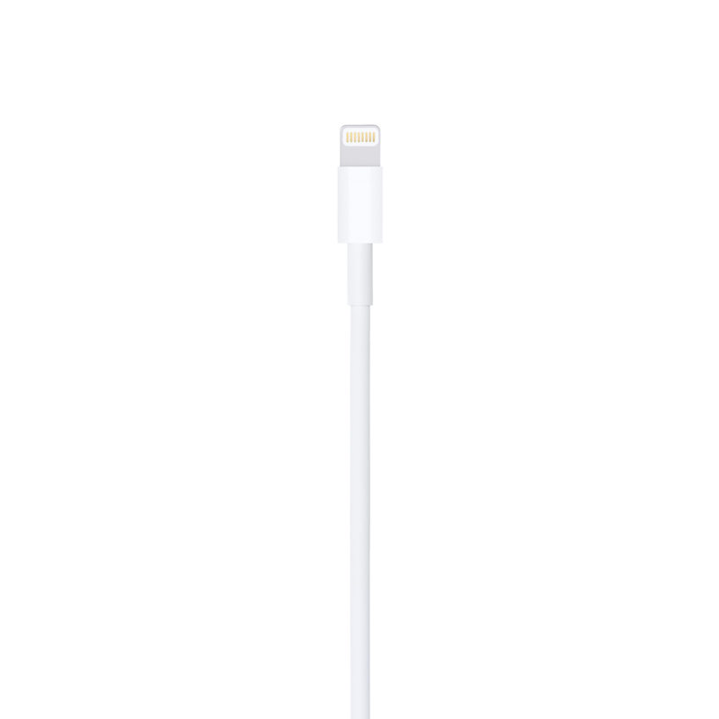 Apple Lightning to USB Cable (1 m)