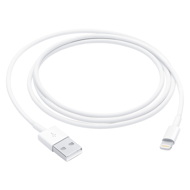 Apple Lightning to USB Cable (1 m)