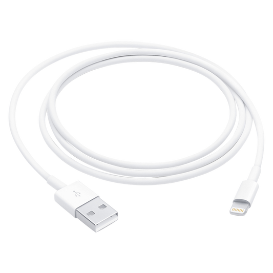 Apple Lightning to USB Cable (1 m)