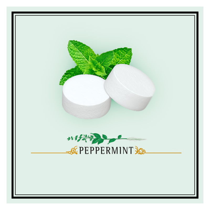 Altoids Peppermint Mints 1.76oz